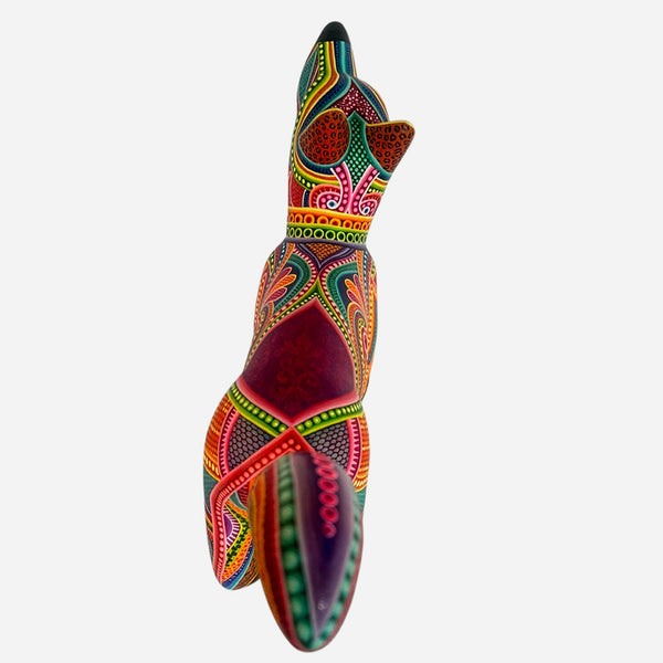 Dante Cruz: Impressive Kaleidoscope Dog Oaxaca