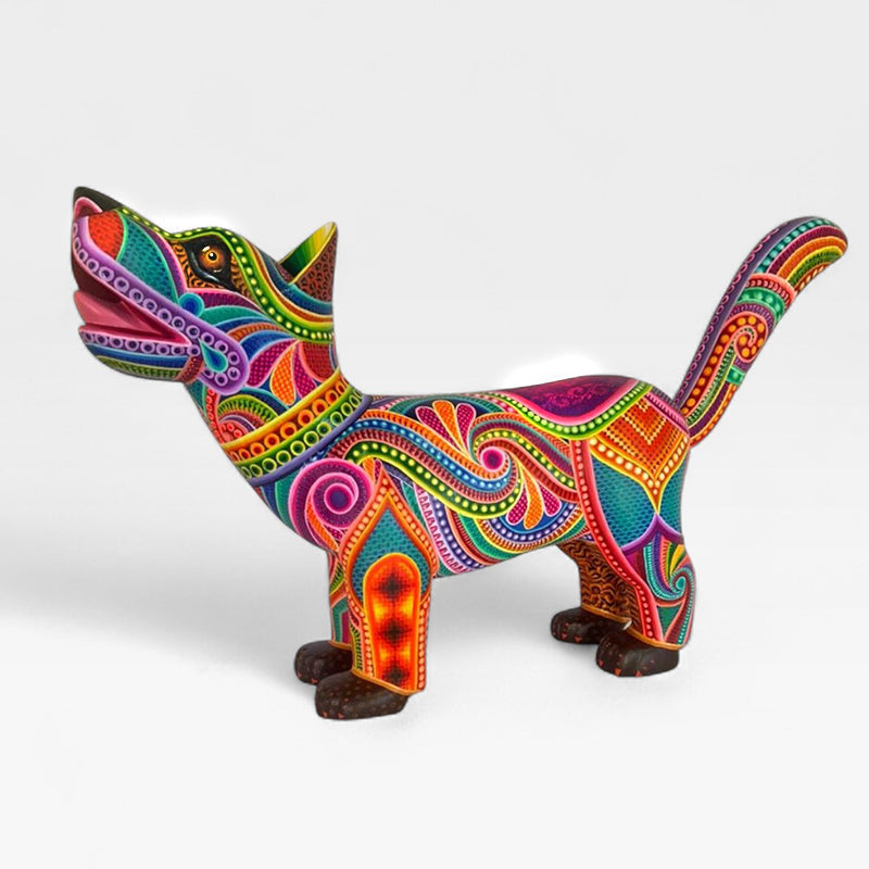 Dante Cruz: Impressive Kaleidoscope Dog Oaxaca