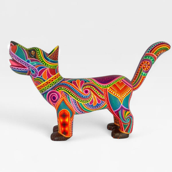 Dante Cruz: Impressive Kaleidoscope Dog Oaxaca
