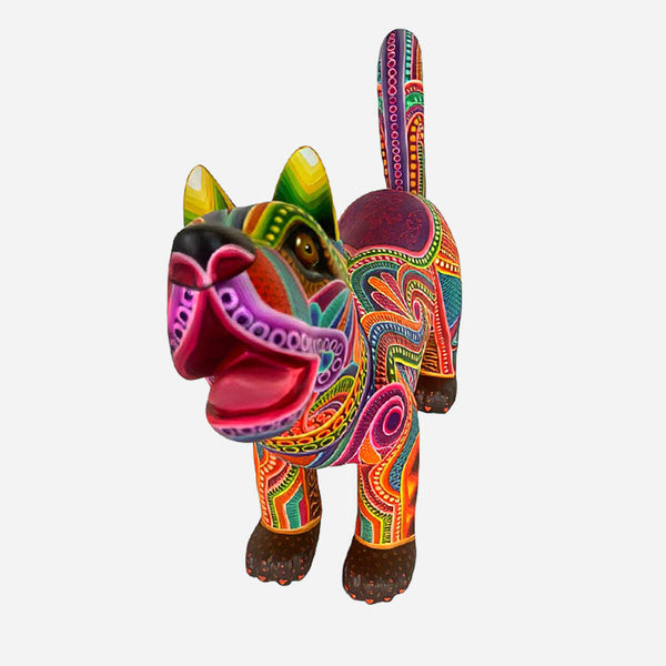 Dante Cruz: Impressive Kaleidoscope Dog Oaxaca