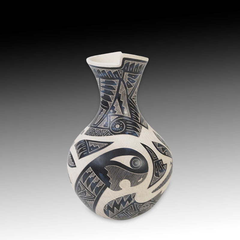 Eduardo Olivas: Dragonflies and Macaws Mata Ortiz