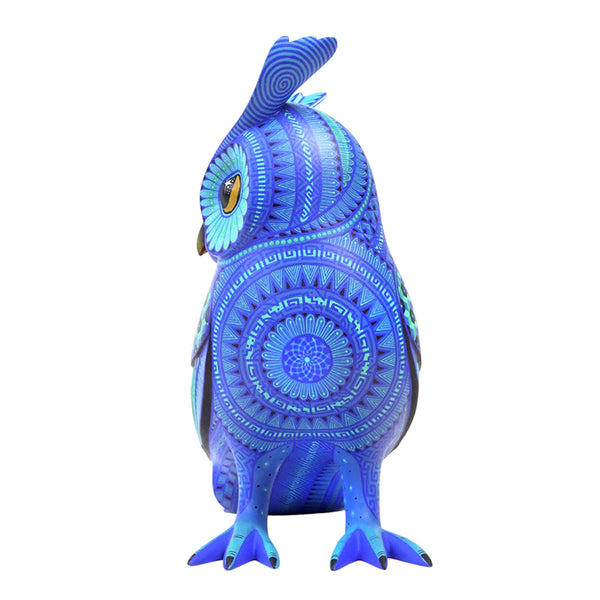 Emmanuel Ramirez: Moon & Stars Owl Oaxaca