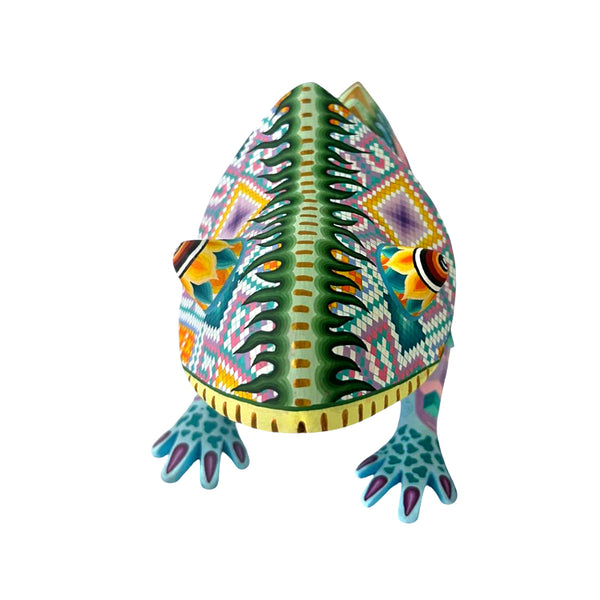 Fatima Fuentes: Spectacular Chameleon Woodcarving