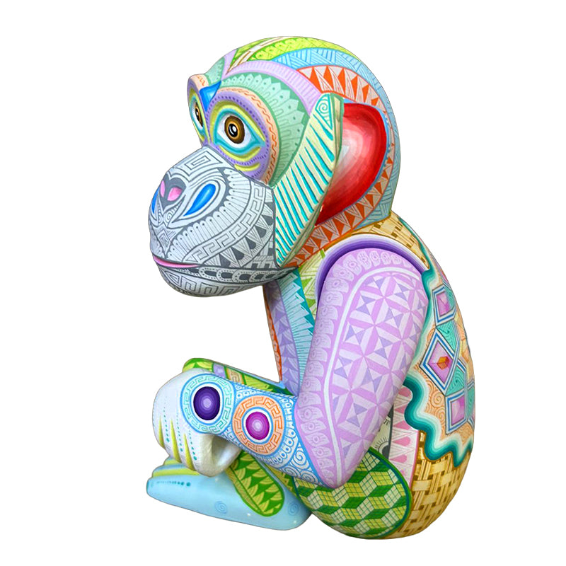 Fatima Fuentes: Dazzling Inquisitive Monkey