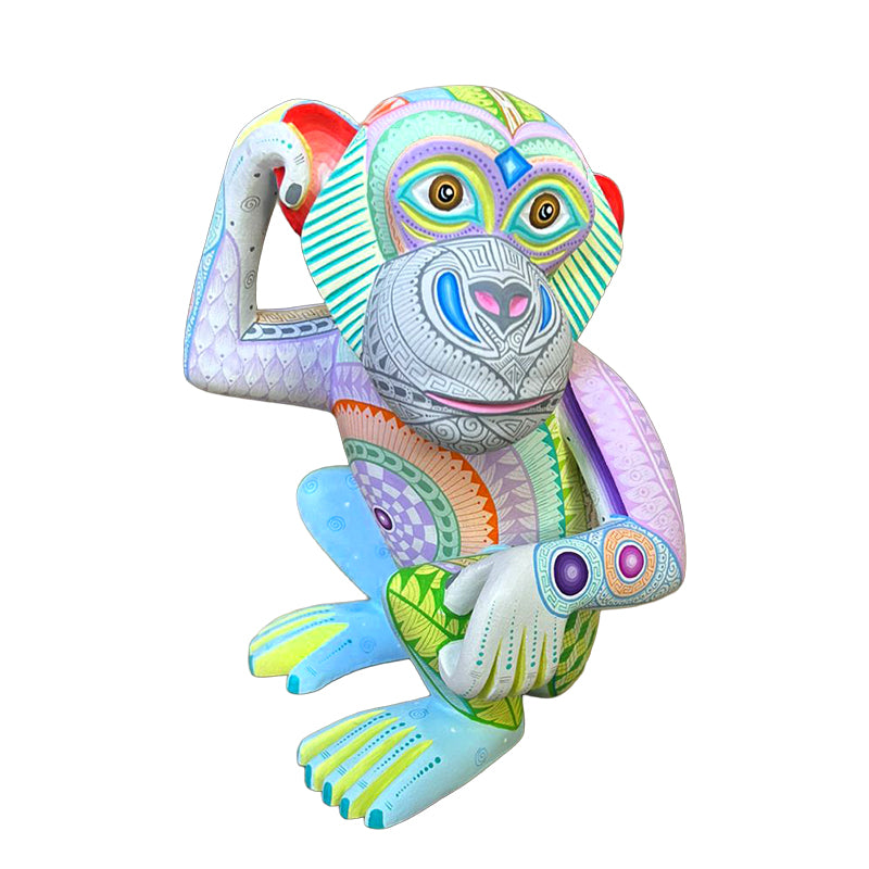 Fatima Fuentes: Dazzling Inquisitive Monkey