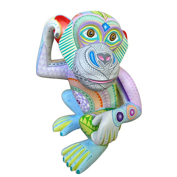 Fatima Fuentes: Dazzling Inquisitive Monkey