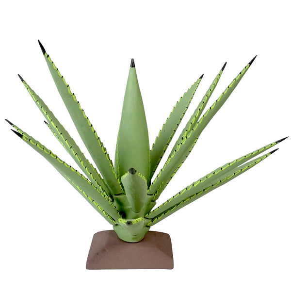 Gabino Reyes: Our Lady Of Guadalupe Cactus