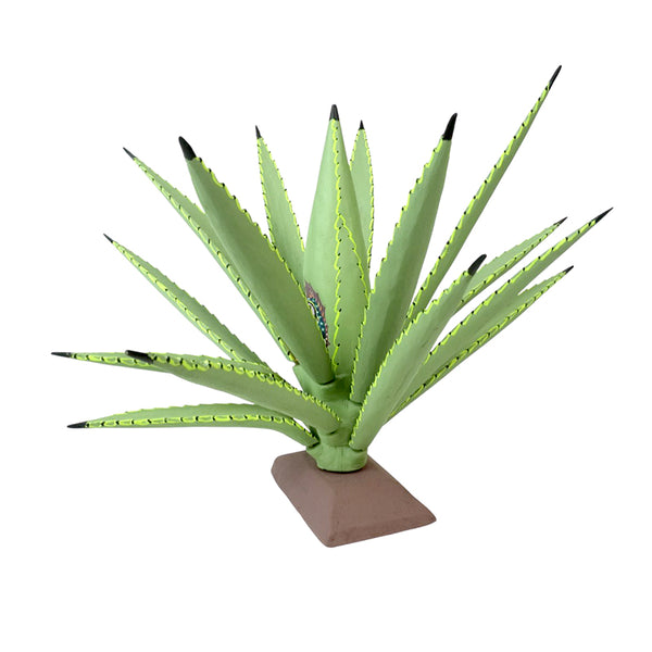 Gabino Reyes: Our Lady Of Guadalupe Cactus