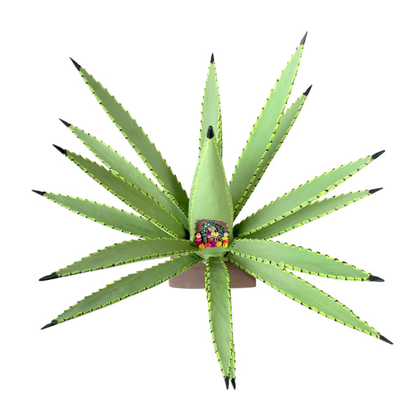 Gabino Reyes: Our Lady Of Guadalupe Cactus