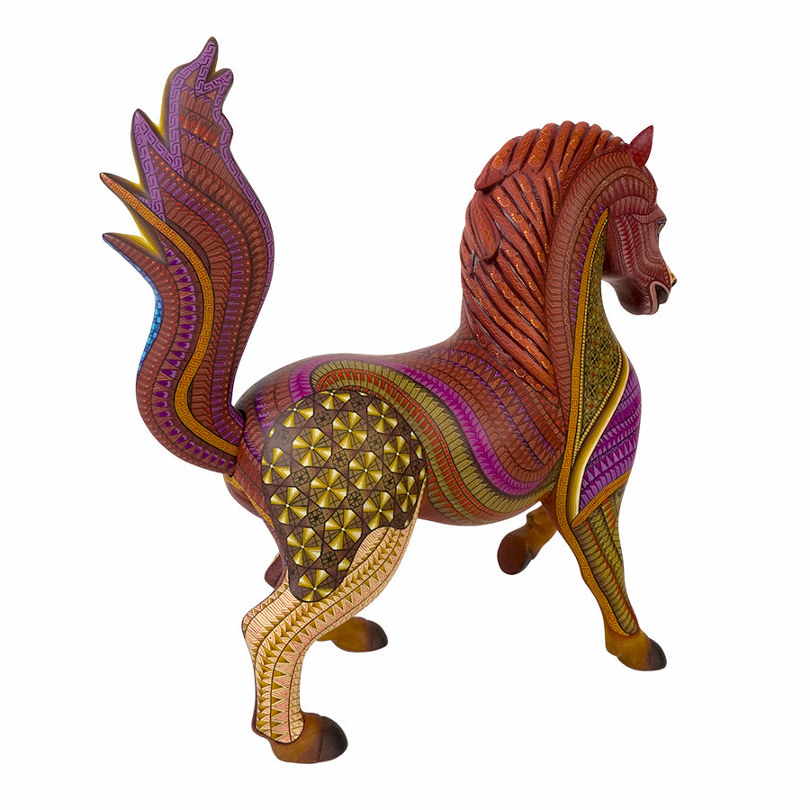 Isabel Fabian: Museum Quality Andalusian Horse