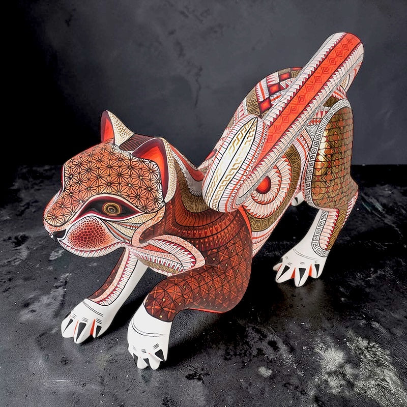 Isabel Fabian: Exquisite One Piece Cat Oaxaca