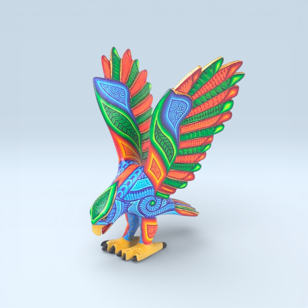 Luis Cruz: Beautiful Eagle Oaxaca