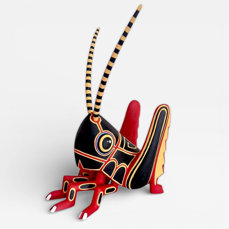 Luis Pablo: Chapulin Cricket Oaxaca