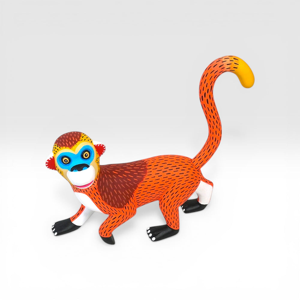 Luis Pablo: Ozomatli Monkey Oaxaca