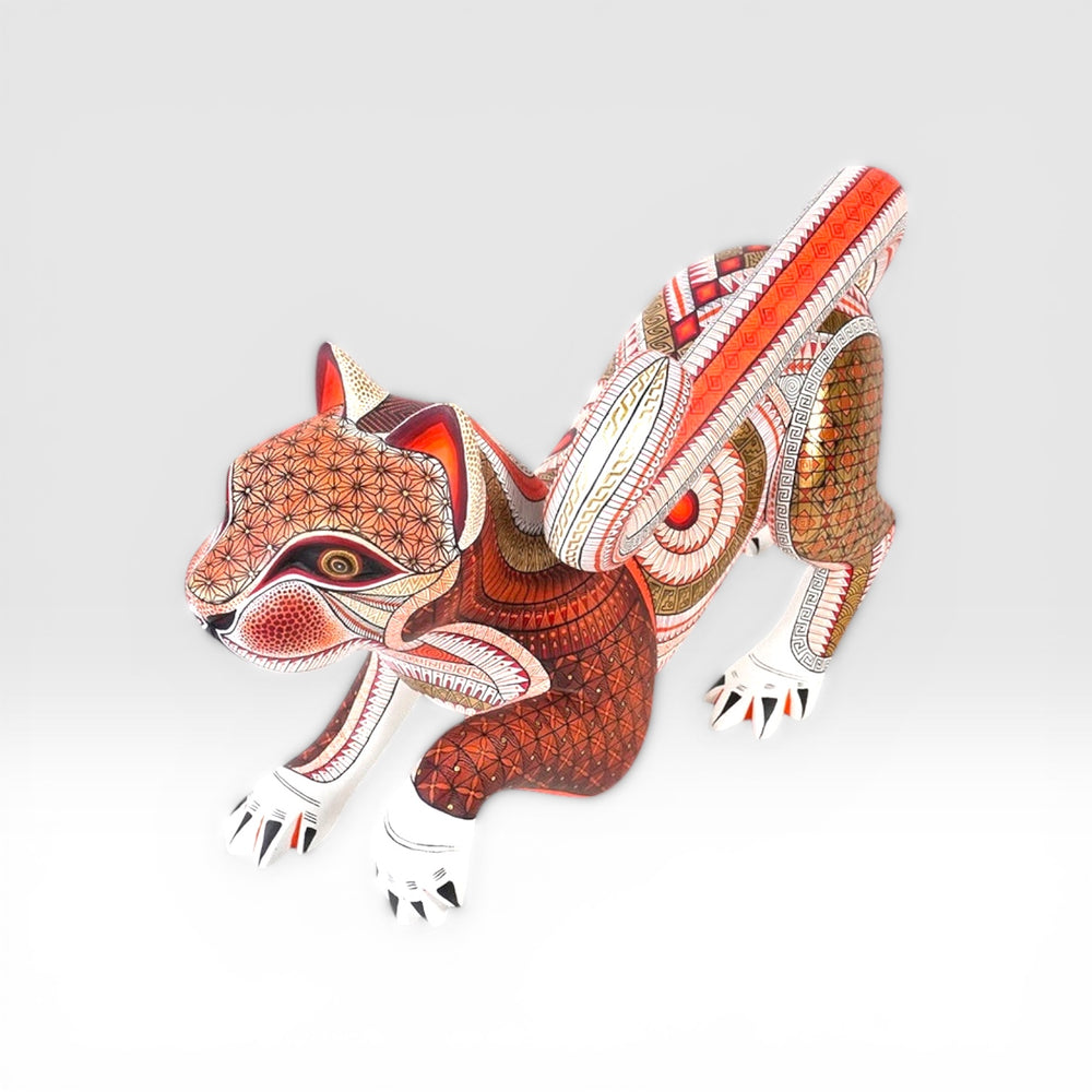 Isabel Fabian: Exquisite One Piece Cat Oaxaca