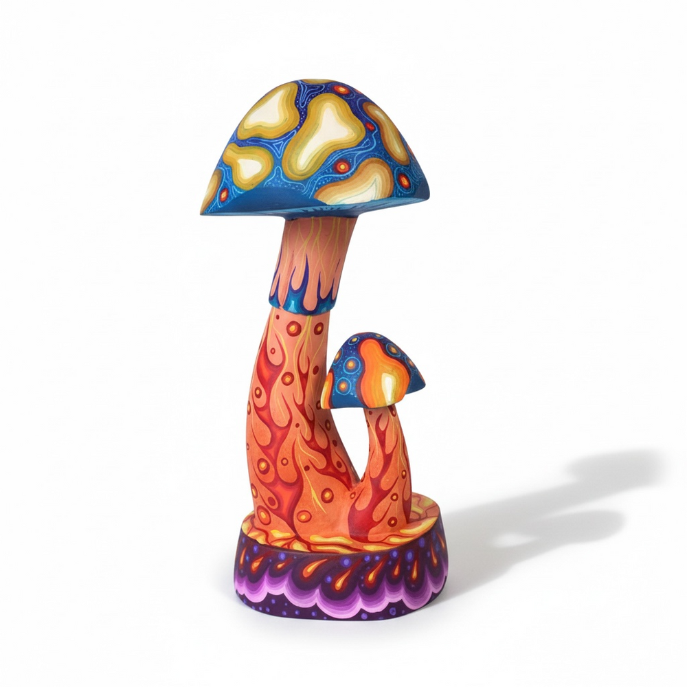 Carolina Sandoval & Kengi: Mushrooms Oaxaca