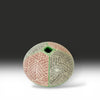 Daisy Ramirez: Seed Pot Pottery