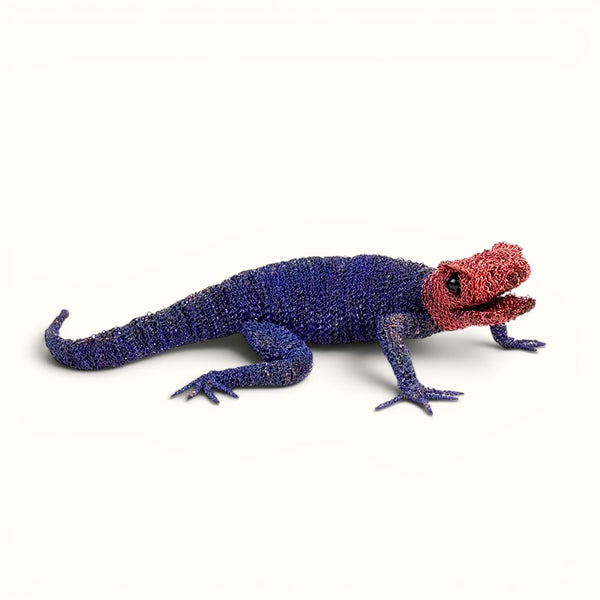 Cristo Escamilla: Red Headed Agama Lizard  Wire Art