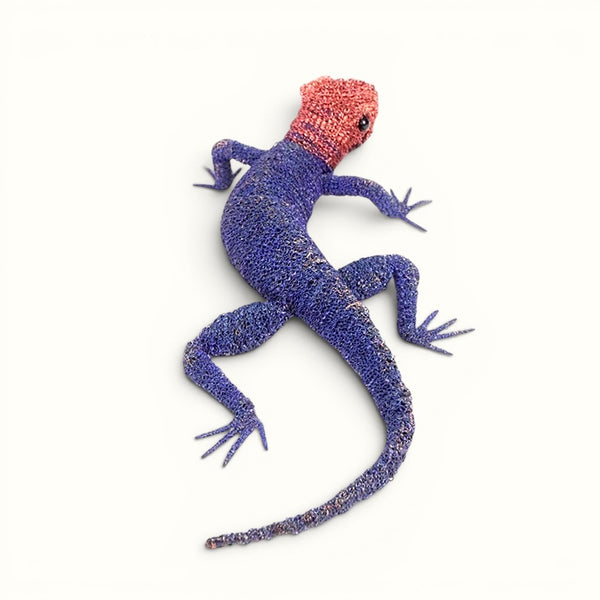 Cristo Escamilla: Red Headed Agama Lizard  Wire Art