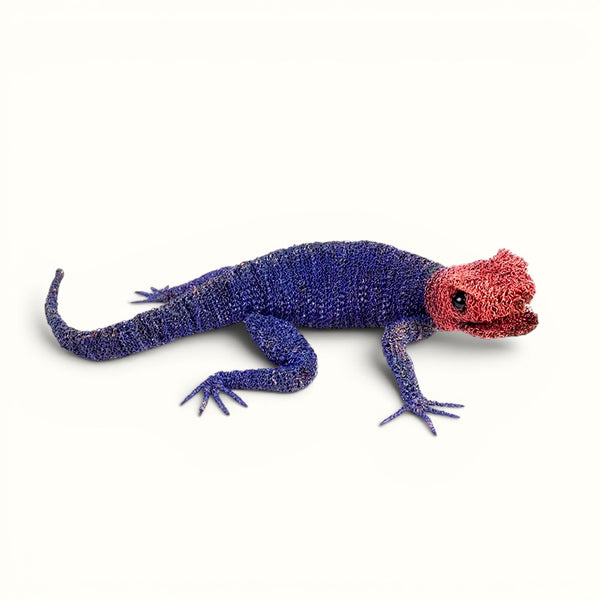 Cristo Escamilla: Red Headed Agama Lizard  Wire Art