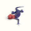 Cristo Escamilla: Red Headed Agama Lizard  Wire Art