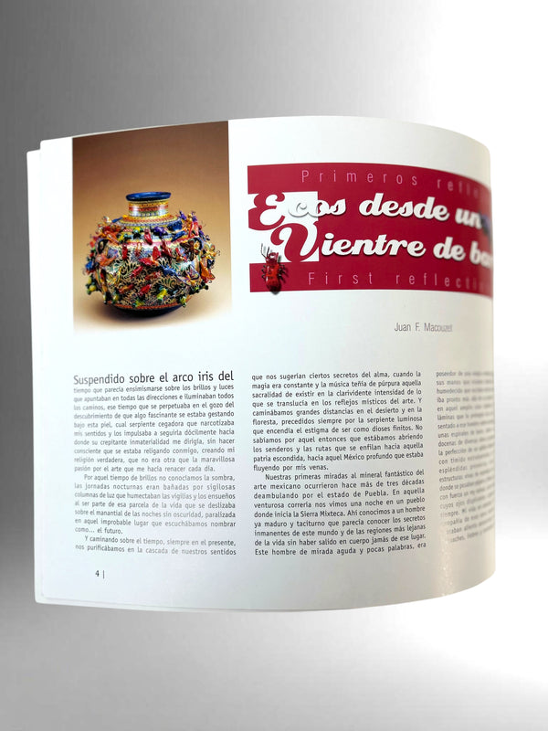 The Art of the Castillo Family Bilingual Edition