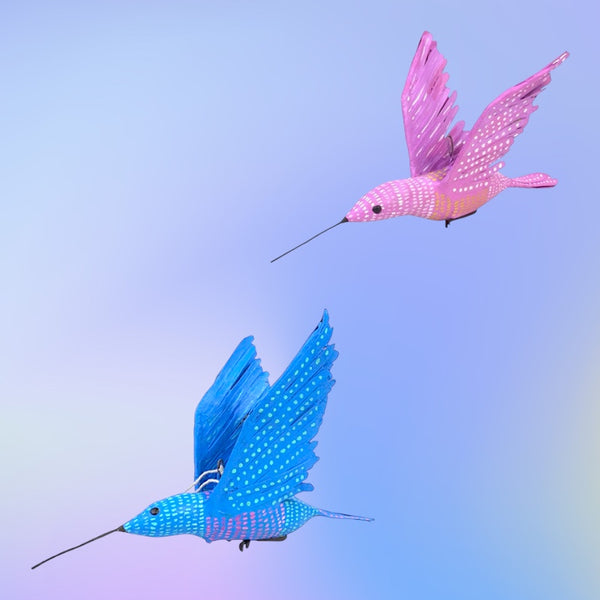 Antonio Alonso: Blue Hummingbird