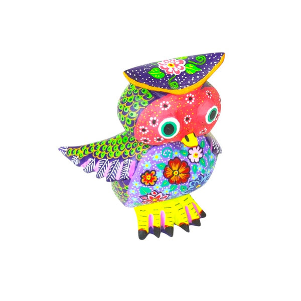 Candido Jimenez: Endearing Owl Woodcarving