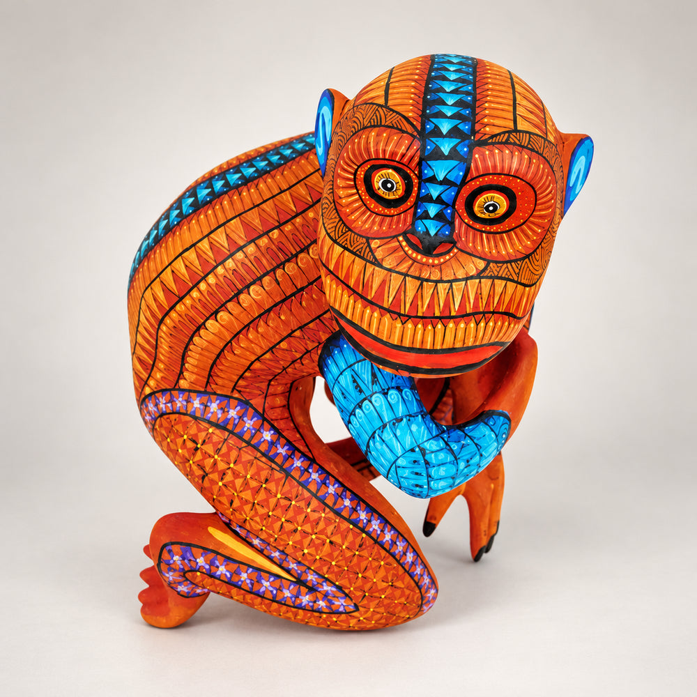 Ana Laura Salmeron: Curious Monkey