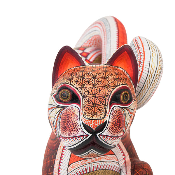 Isabel Fabian: Exquisite One Piece Cat Oaxaca
