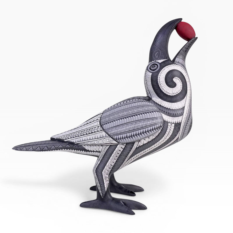 Isabel Fabian: Spectacular Crow Oaxaca