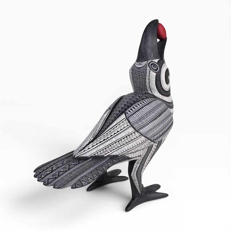 Isabel Fabian: Spectacular Crow Oaxaca