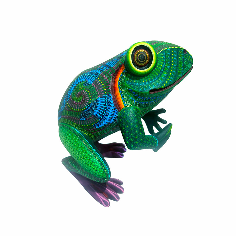 Isabel Fabian: Frog Woodcarving