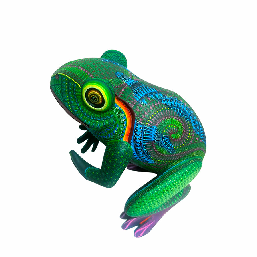 Isabel Fabian: Frog Woodcarving