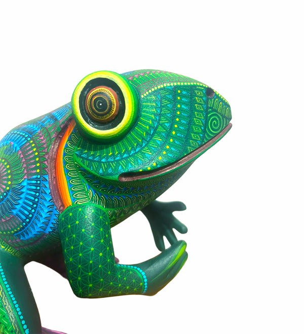Isabel Fabian: Frog Woodcarving