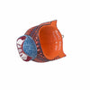 files/Jaguar-Mask-Oaxacan-Wood-Carvings-5783.jpg