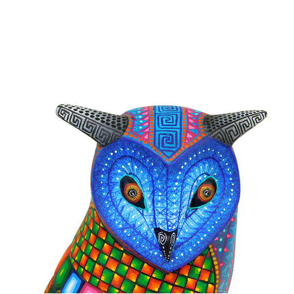 Javier Jimenez: Beautiful Great Horned Owl