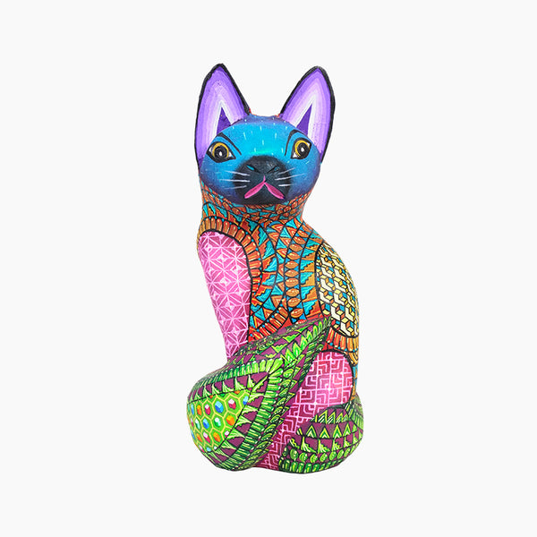 Javier Ramirez: Little Cat Oaxaca