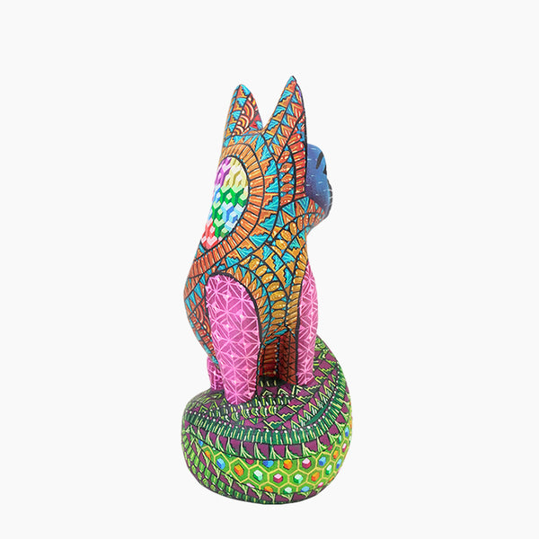 Javier Ramirez: Little Cat Oaxaca