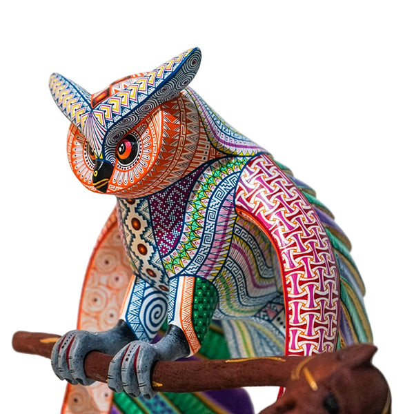 Jorge Vazquez: Guardian of the Night & the Earth Owl