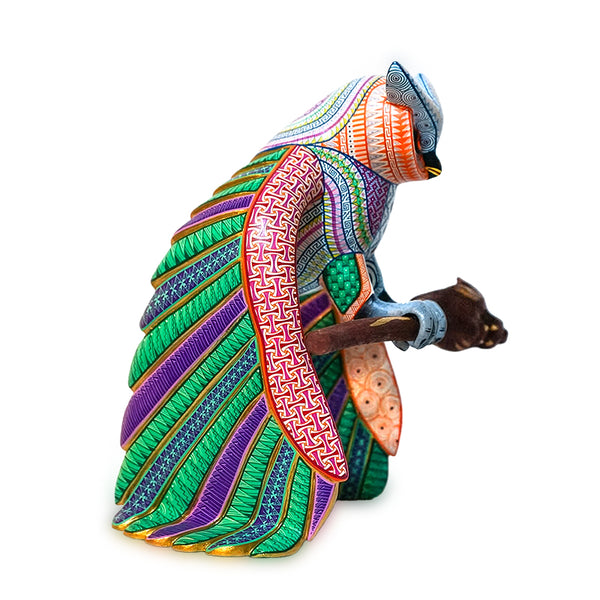 Jorge Vazquez: Guardian of the Night & the Earth Owl