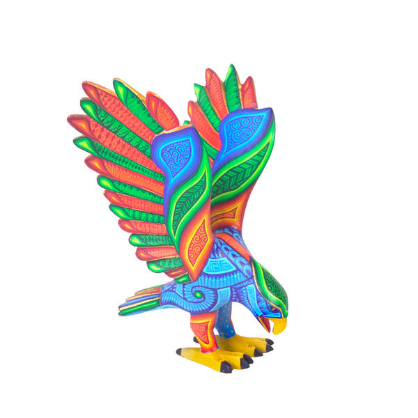 Luis Cruz: Beautiful Eagle Oaxaca