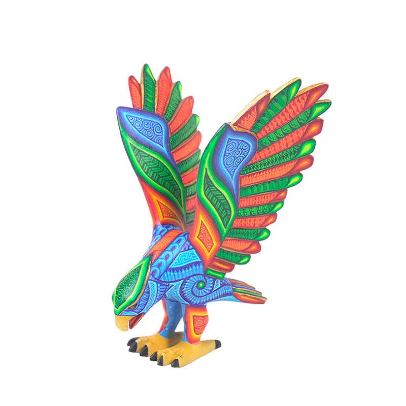 Luis Cruz: Beautiful Eagle Oaxaca