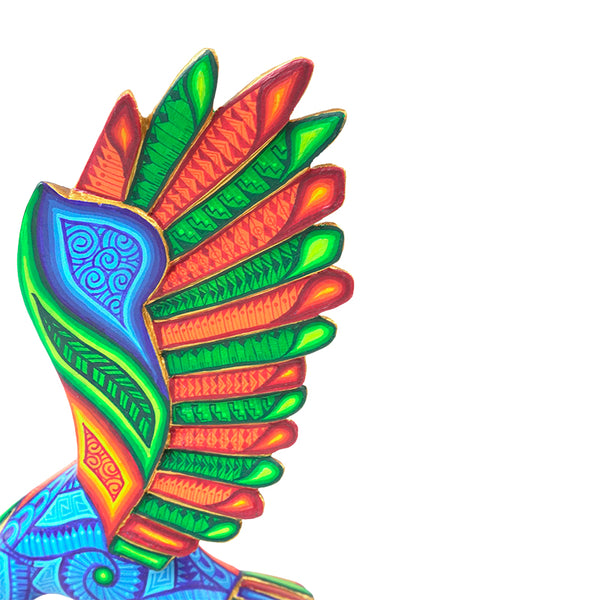 Luis Cruz: Beautiful Eagle Oaxaca