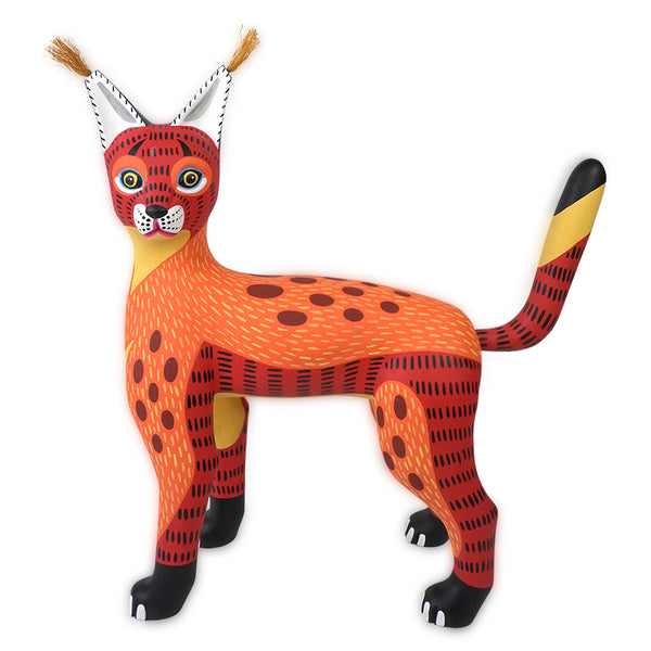 Luis Pablo: Fiery Caracal Oaxaca