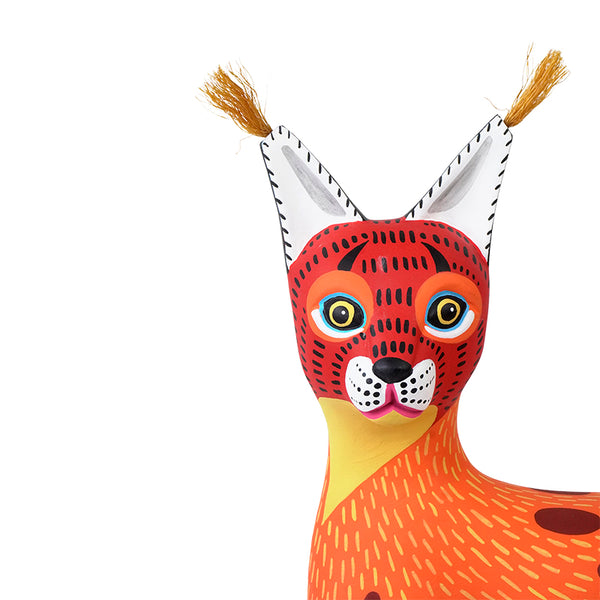 Luis Pablo: Fiery Caracal Oaxaca