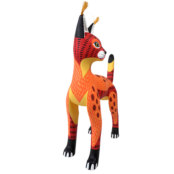 Luis Pablo: Fiery Caracal Oaxaca