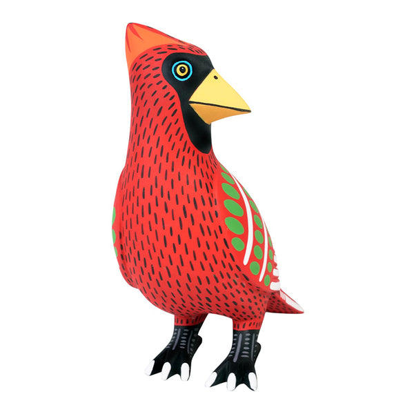 Luis Pablo: Crimson Cardinal on Watch