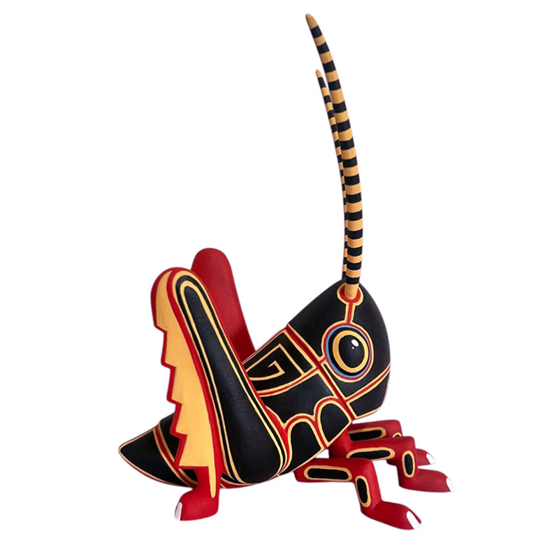 Luis Pablo: Chapulin Cricket Oaxaca