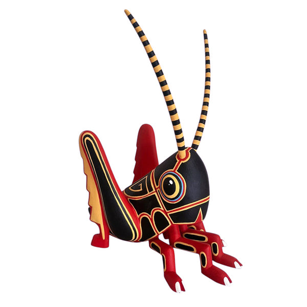 Luis Pablo: Chapulin Cricket Oaxaca